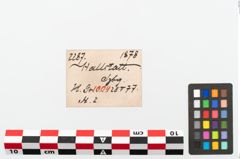 Etikett zu Eisenring (NHMW-PRAE-002287)